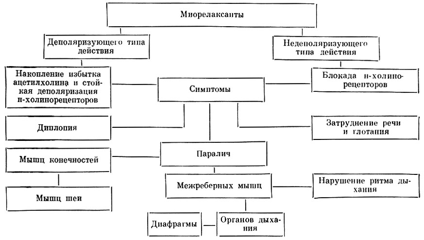 Приведите схему типы судорог в соответствии